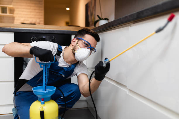 Best Best Pest Control Companies  in Union Gap, WA