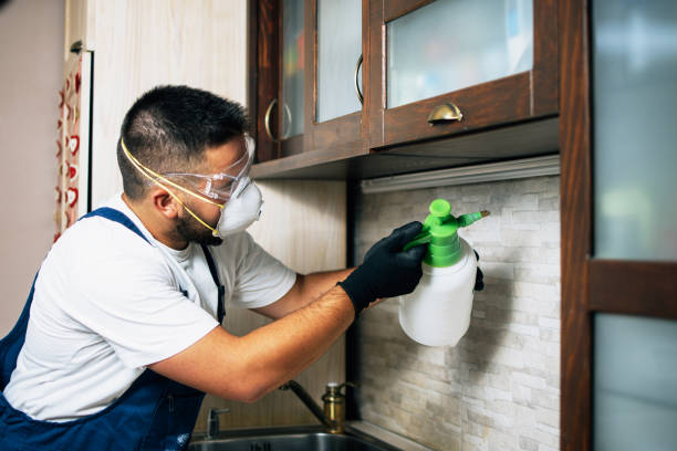Pest Control Cost in Union Gap, WA