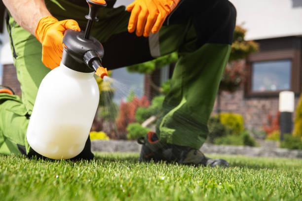 Best Pest Prevention Services  in Union Gap, WA