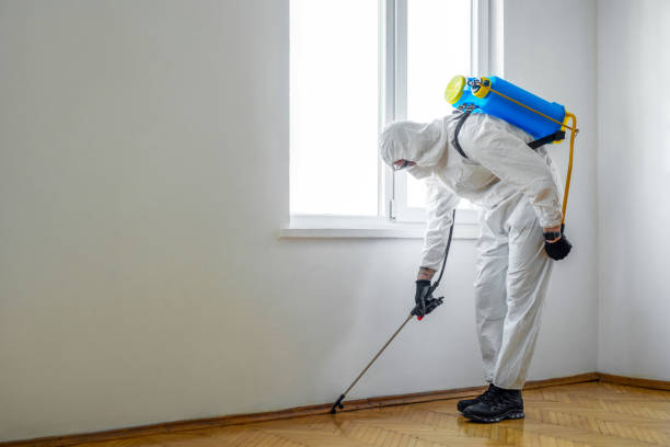 Best Mosquito Control Services  in Union Gap, WA