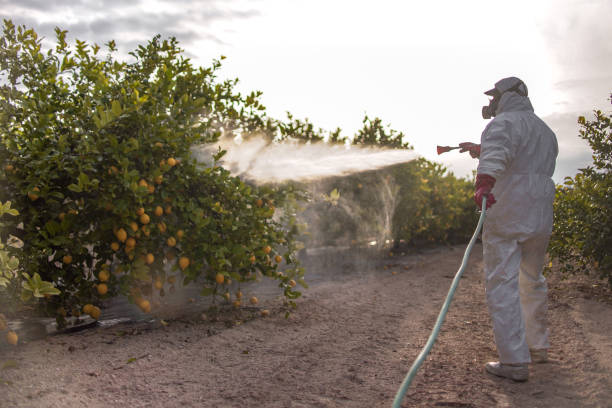 Best Residential Pest Control  in Union Gap, WA