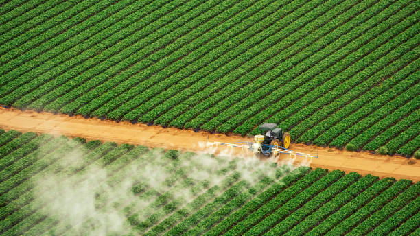  Union Gap, WA Pest Control Pros