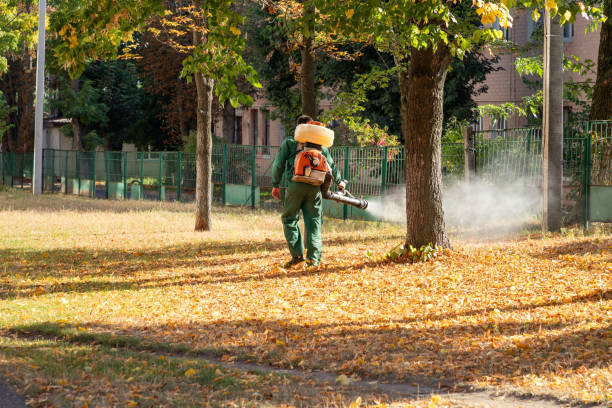 Best Affordable Pest Control Services  in Union Gap, WA
