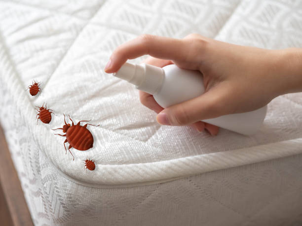 Best Bed Bug Extermination  in Union Gap, WA