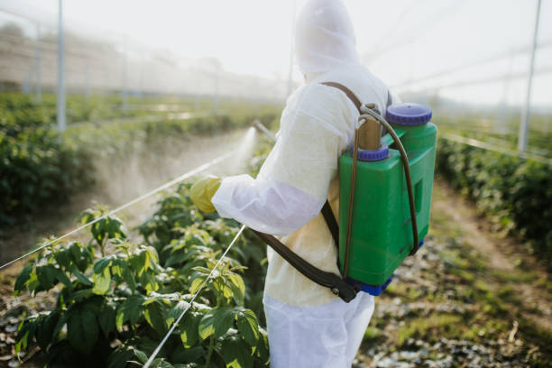 Best Best Pest Control Companies  in Union Gap, WA